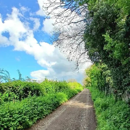 度假居 House Near Moors, 10 Minutes Walk To High Street