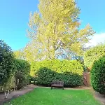 House Near Moors, 10 Minutes Walk To High Street *